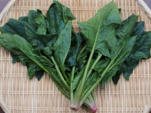 まちさがのうか
#3 老沼幸彦さんのほうれん草