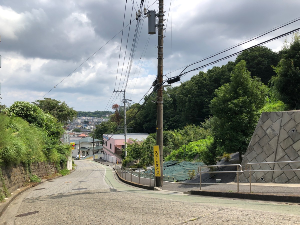 ここにはたしか 047 町田市立国際版画美術館 芹ヶ谷公園 多摩都市モノレール 相模原町田経済新聞